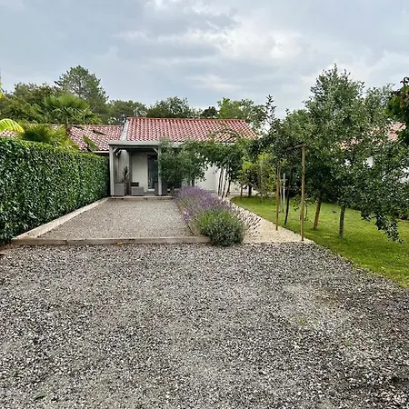 O'pintxo Bed & Breakfast