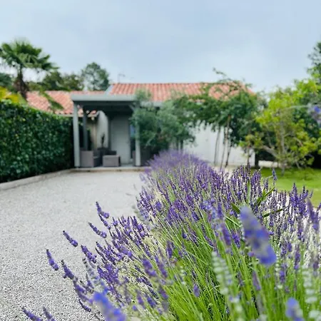 Bed & Breakfast O'pintxo Onesse-et-Laharie