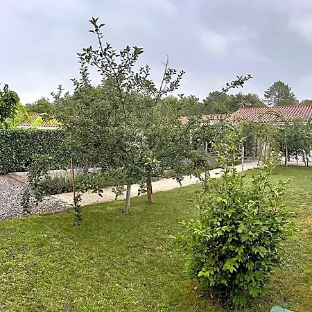 O'pintxo Onesse-et-Laharie